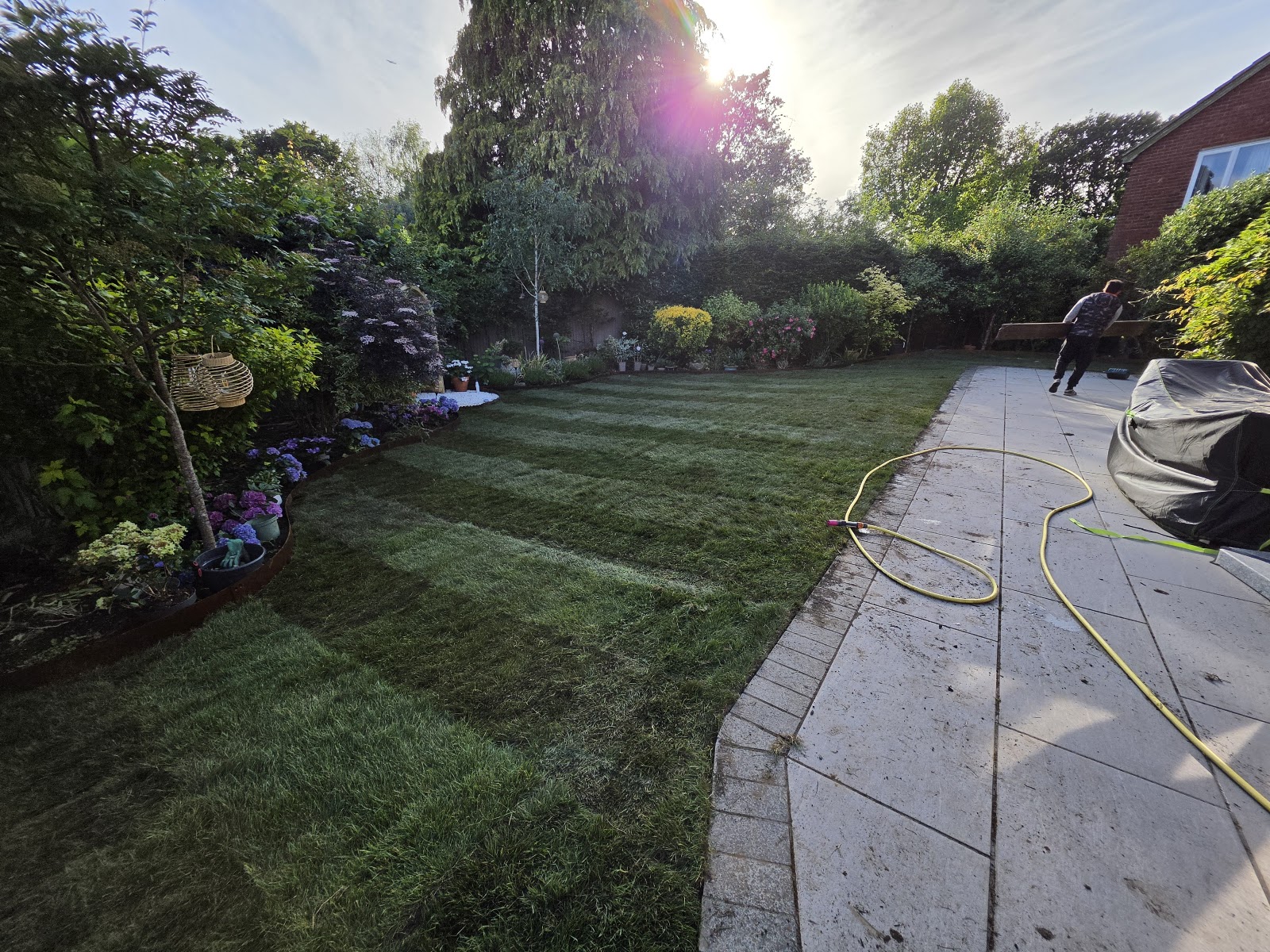 A newly laid lawn catching the evening light, edges rolled neatly against the paving — watered in and rooting well.