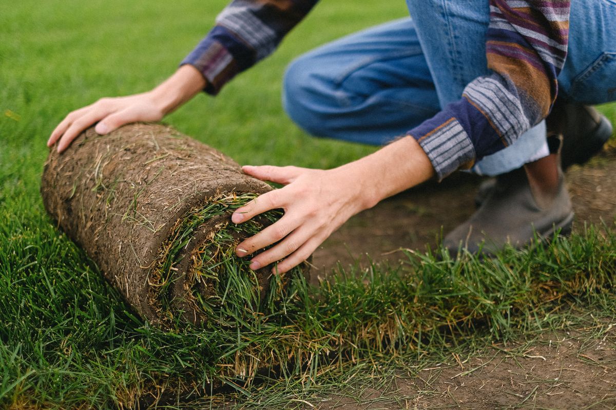 Professional Turf Installation