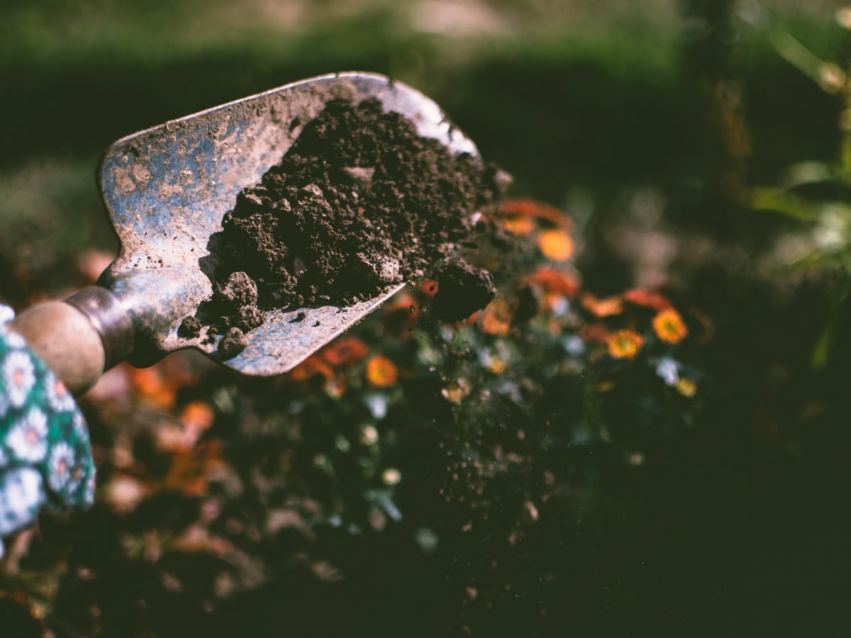 Preparing a quality topsoil base for new turf