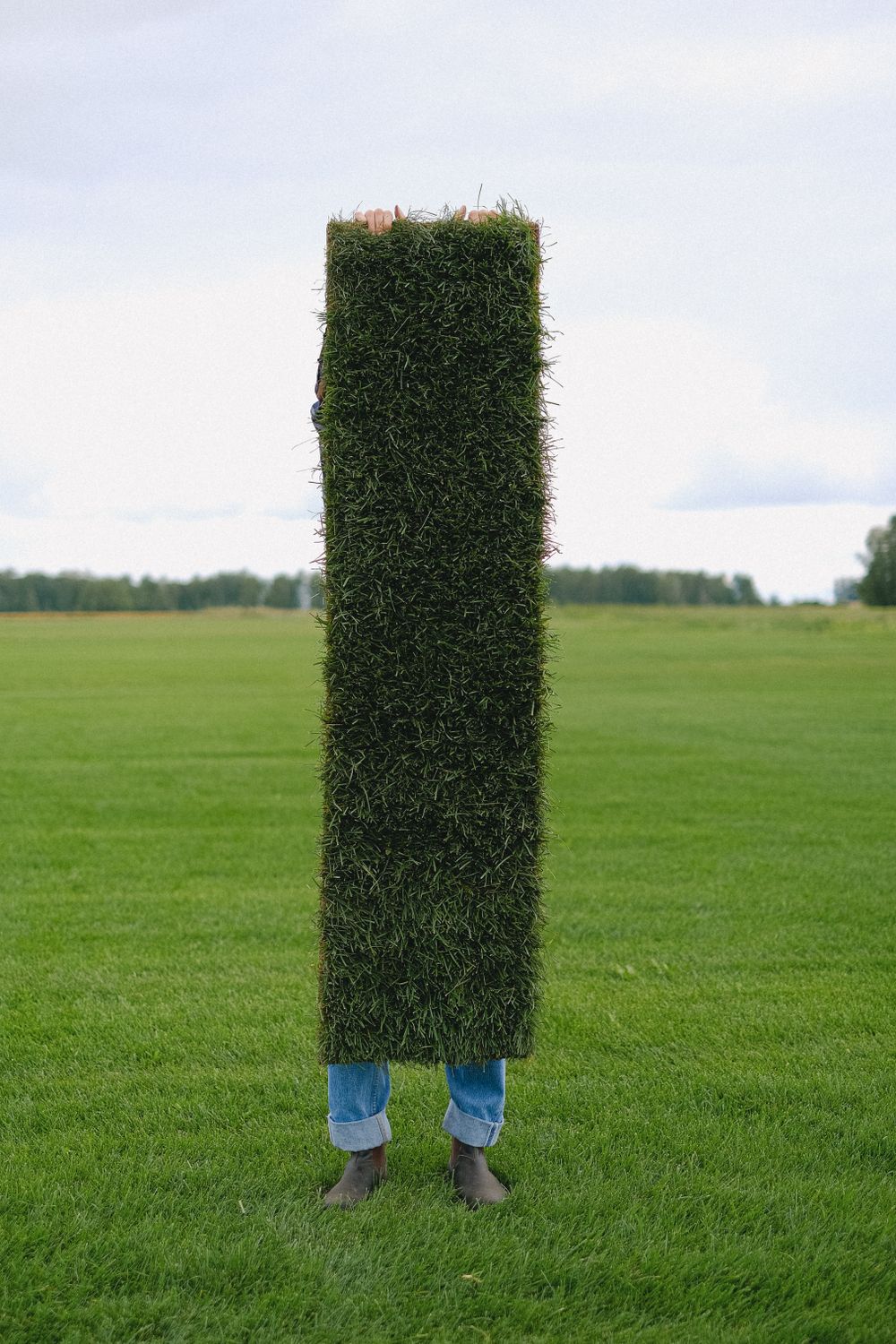 A roll of freshly-cut, UK-grown turf